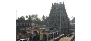 232. திருப்பாதிரிப் புலியூர்